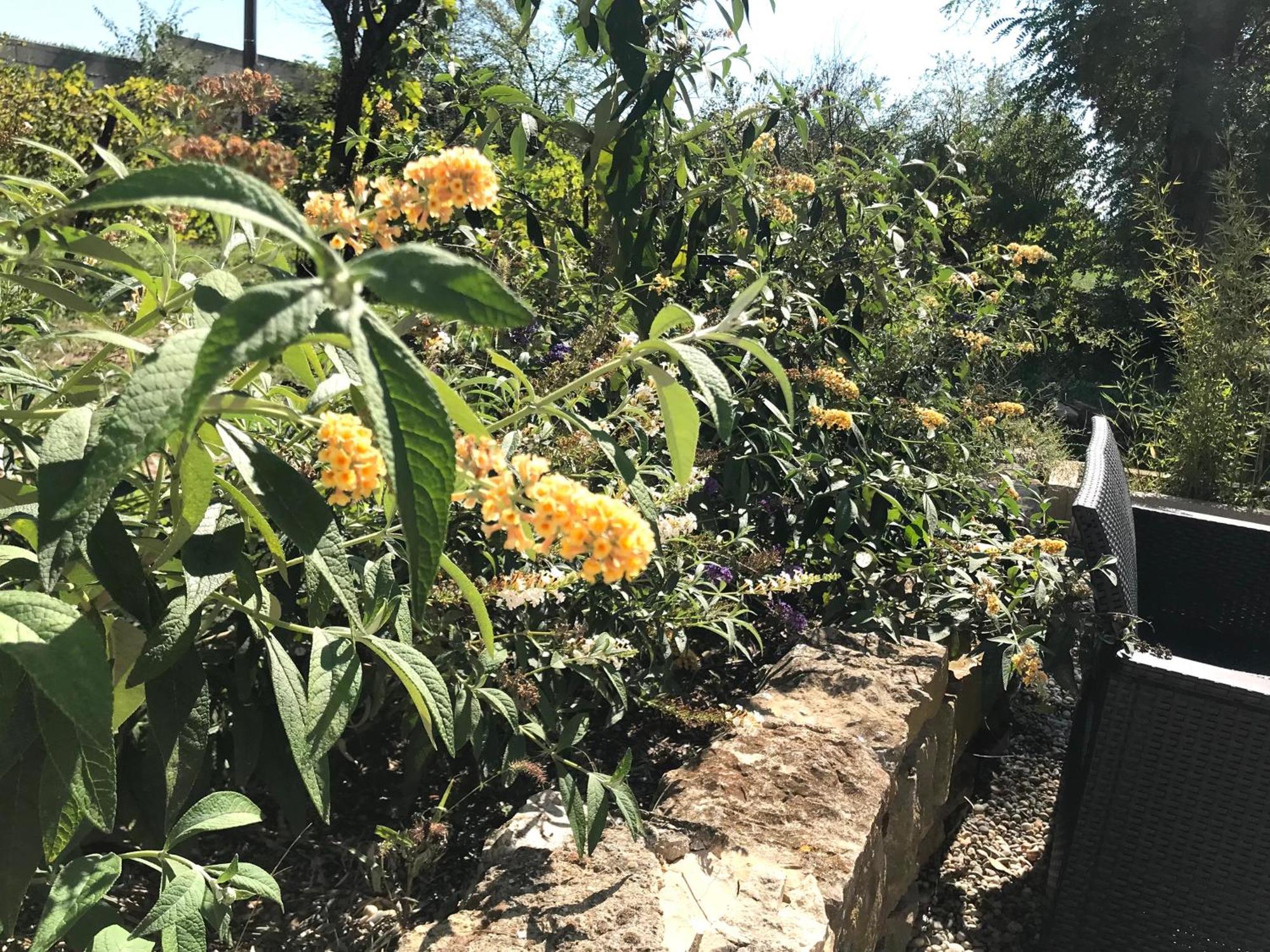 Superbe Annaix De Villa 普罗旺斯地区艾克斯 外观 照片
